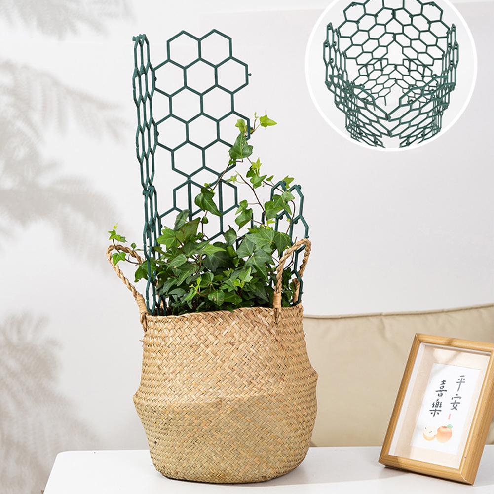 1/2/5Pcs Plastic Plant Support - огляд і ціна Plant Parent Tools