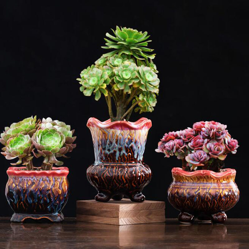 Creative Glazed Flowerpot Succ - огляд і ціна Snake Plant Ceramic