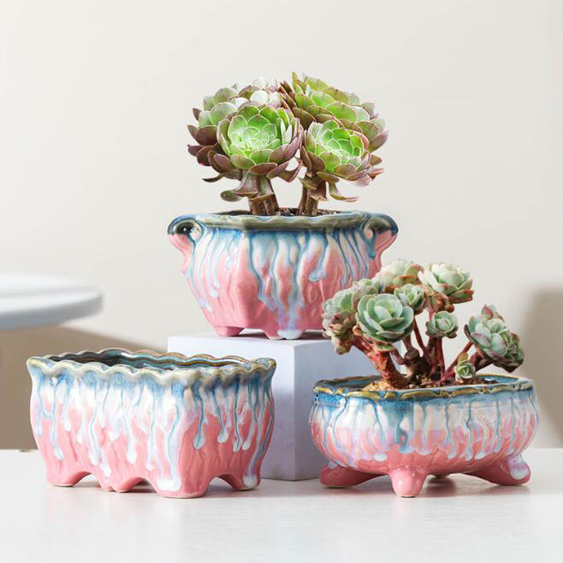 Creative Glazed Flowerpot Succ - огляд і ціна Snake Plant Ceramic