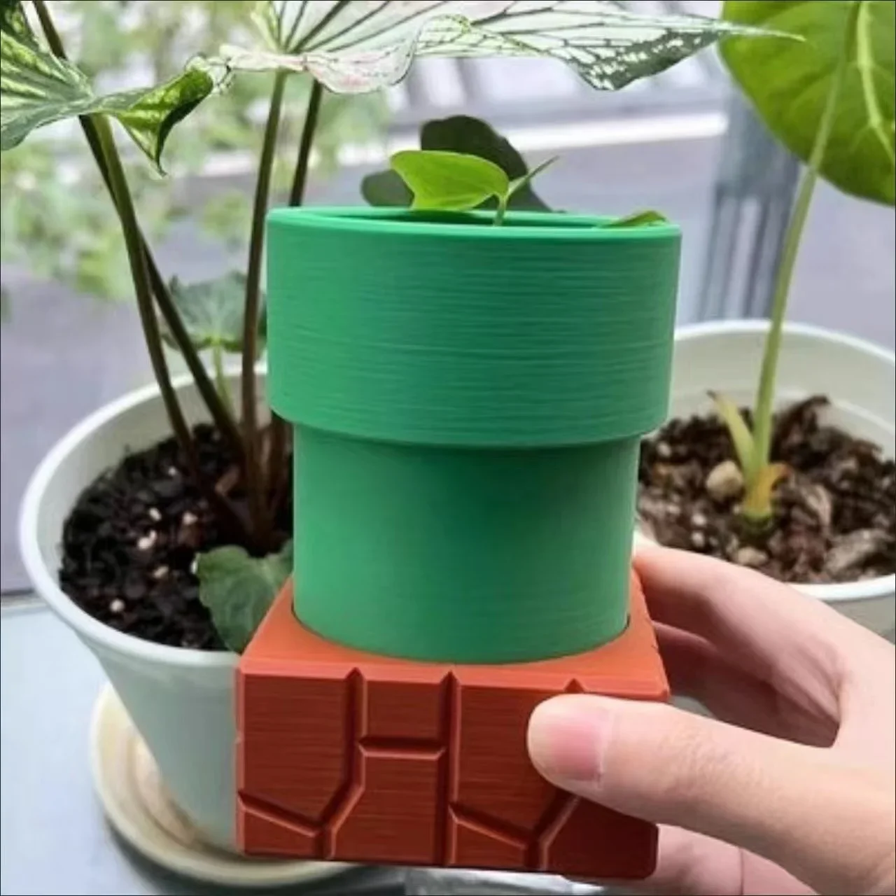 Water Pipe Cannibal Flower Pot - огляд і ціна Snake Plant Ceramic