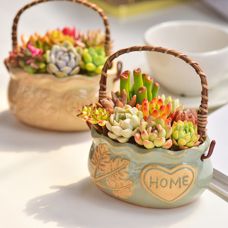 Nordic Style Ceramic Basket Su - огляд і ціна Snake Plant Ceramic
