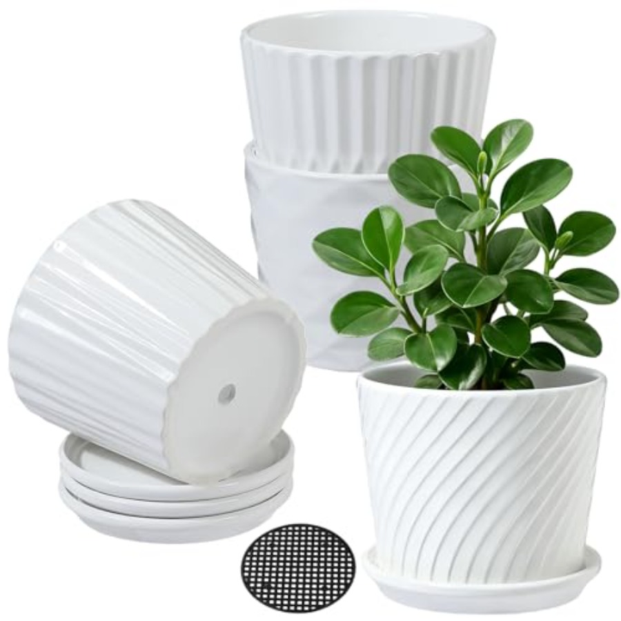 Plant Pots - Cylinder Ceramic  - огляд і ціна Snake Plant Ceramic
