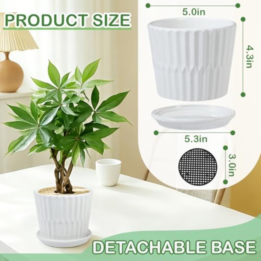 Plant Pots - Cylinder Ceramic  - огляд і ціна Snake Plant Ceramic