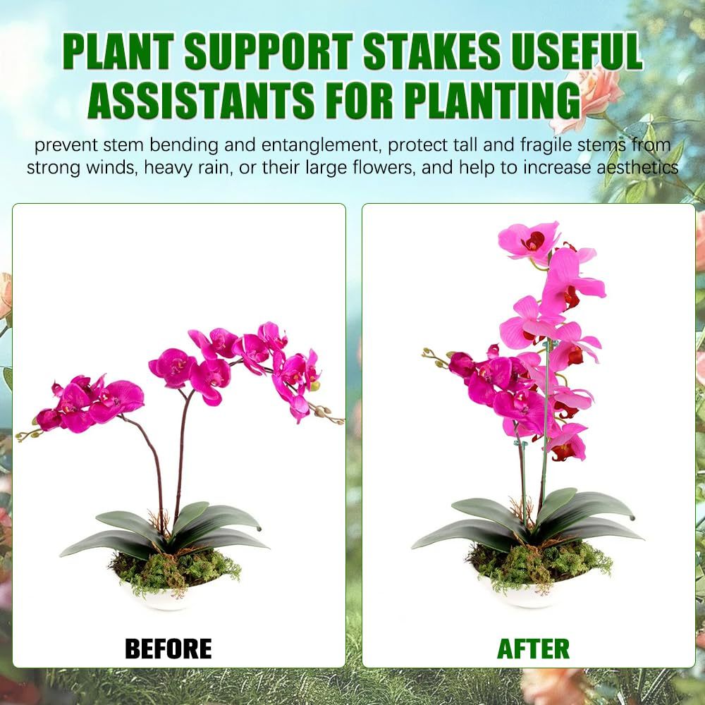 5/10PCS Plant Supports Stand B - огляд і ціна Plant Parent Tools