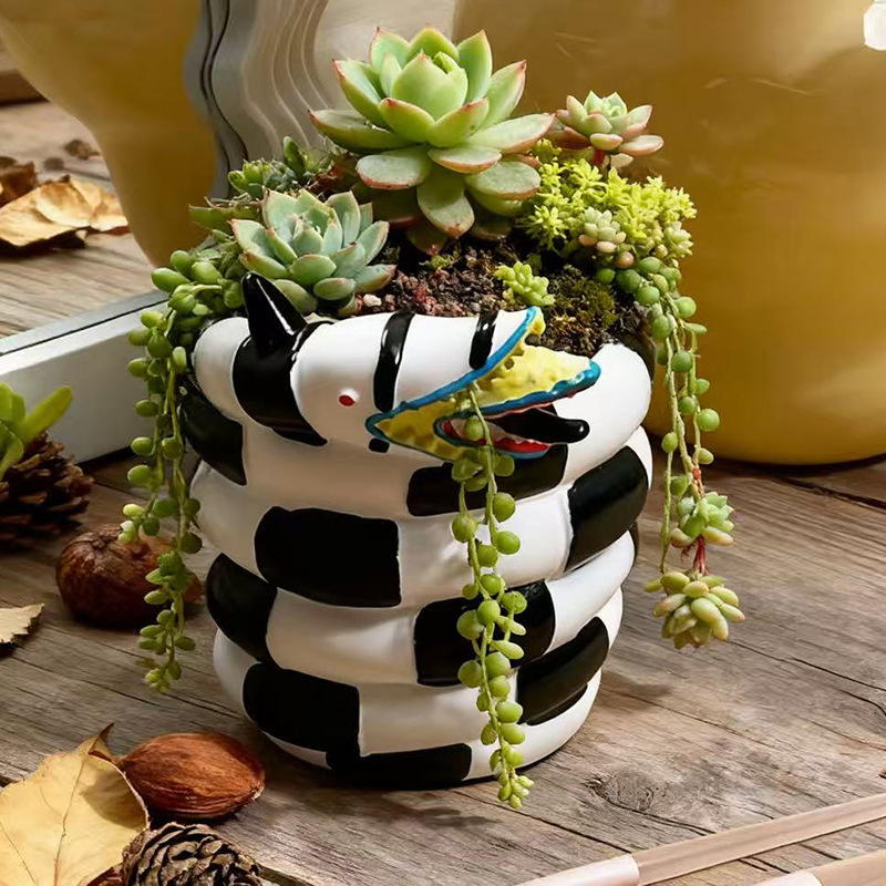 1 Piece Black and White Snake- - огляд і ціна Snake Plant Ceramic