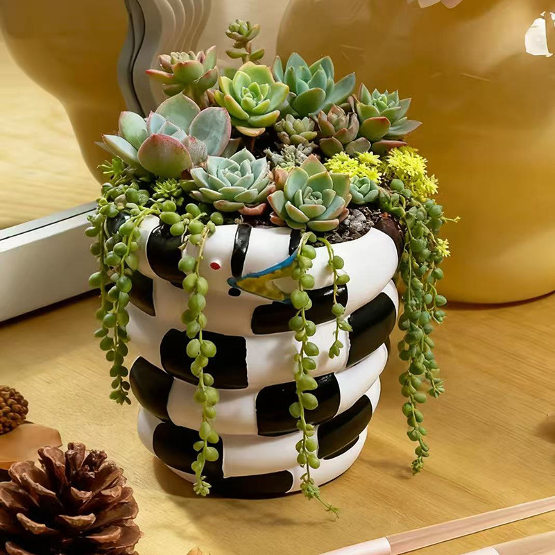 1 Piece Black and White Snake- - огляд і ціна Snake Plant Ceramic
