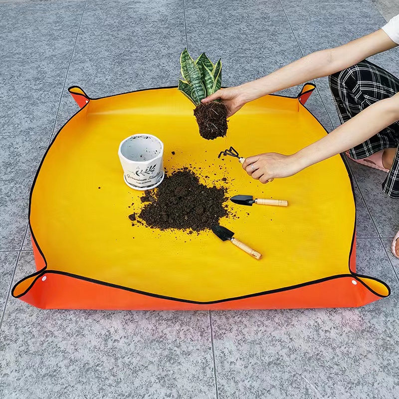 Thickened Waterproof Mats Gard - огляд і ціна Snake Plant Ceramic