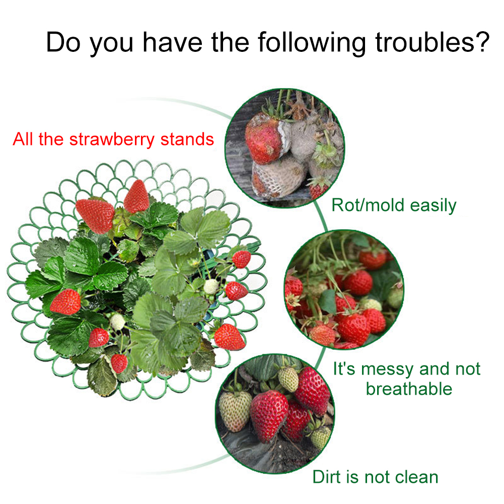 5/10PCS Strawberry Supports Wi - огляд і ціна Plant Parent Tools