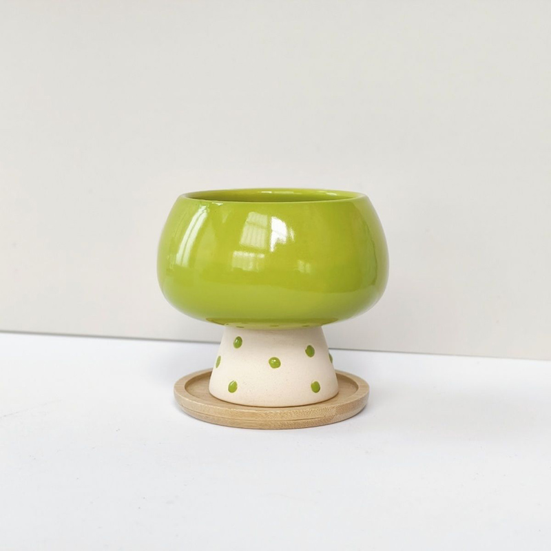 Stylish Minimalist Ceramic Flo - огляд і ціна Snake Plant Ceramic