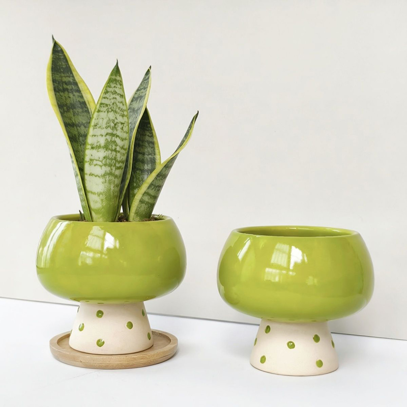 Stylish Minimalist Ceramic Flo - огляд і ціна Snake Plant Ceramic