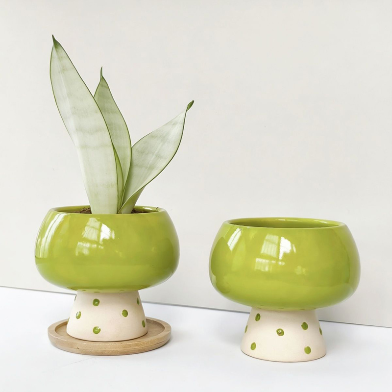 Stylish Minimalist Ceramic Flo - огляд і ціна Snake Plant Ceramic