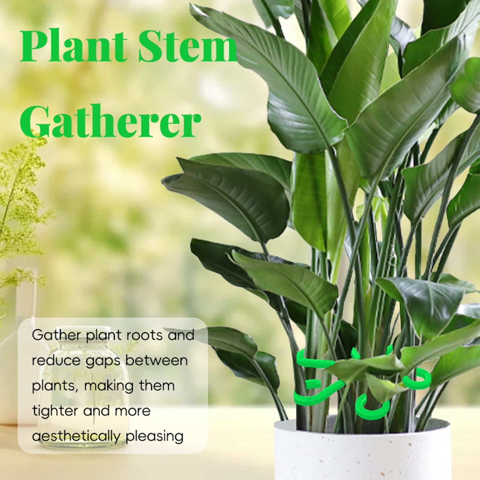 4pc Plant Fixing Clip Plant Cl - огляд і ціна Plant Parent Tools