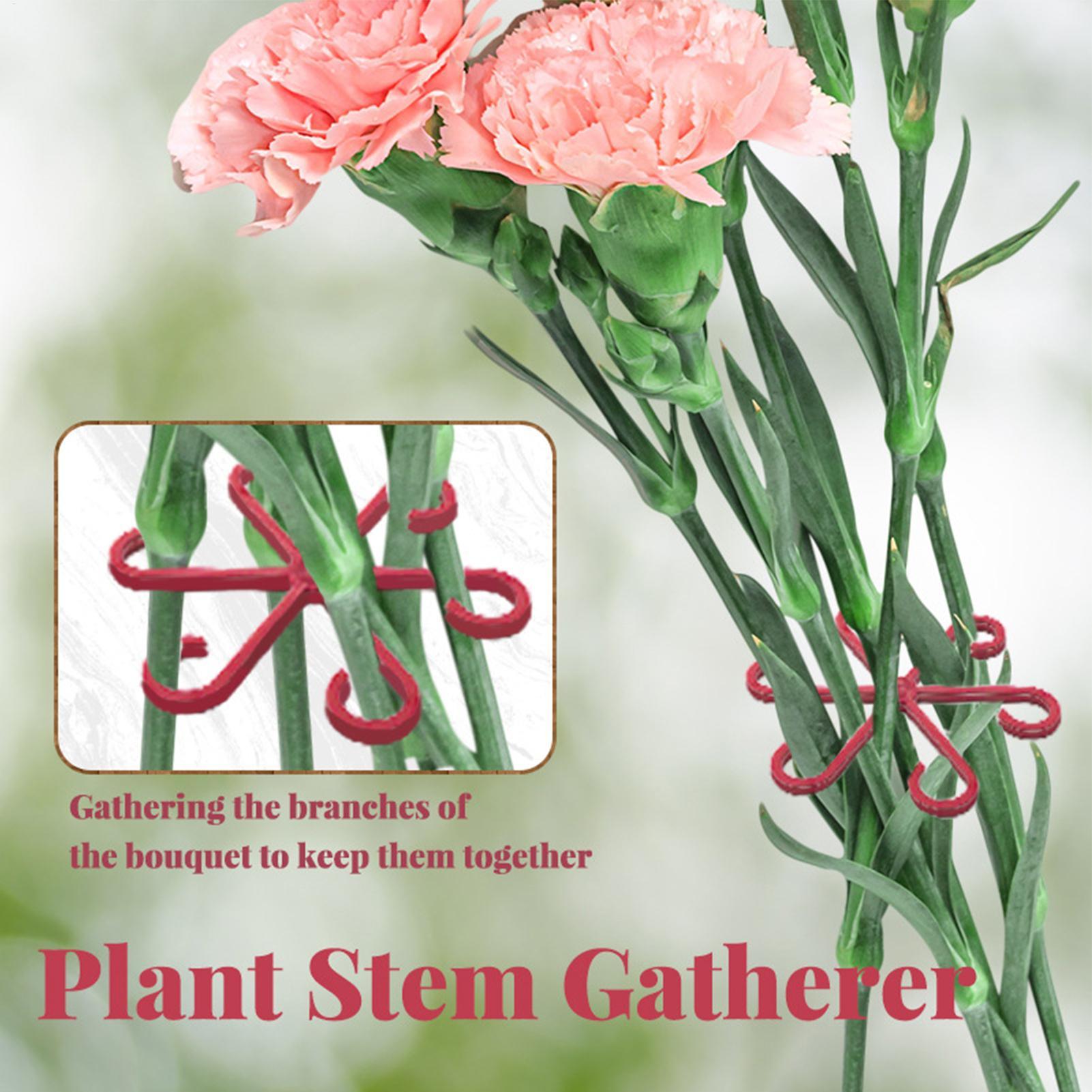4pc Plant Fixing Clip Plant Cl - огляд і ціна Plant Parent Tools