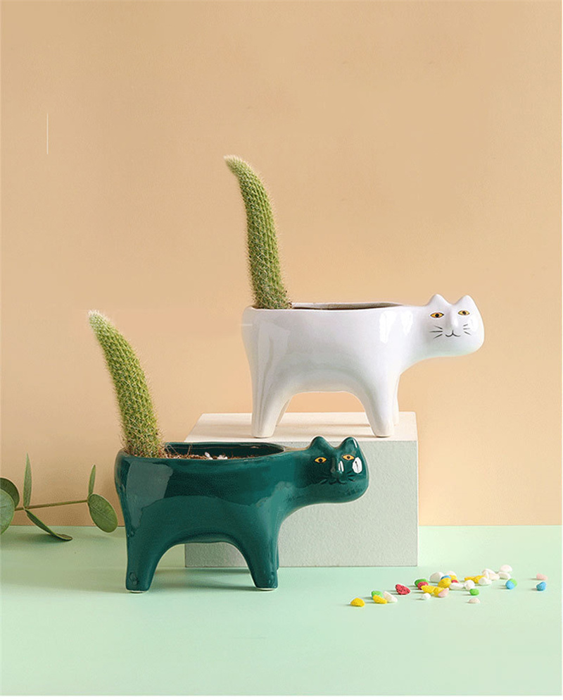 Cute Cat Ceramic Garden Flower - огляд і ціна Snake Plant Ceramic