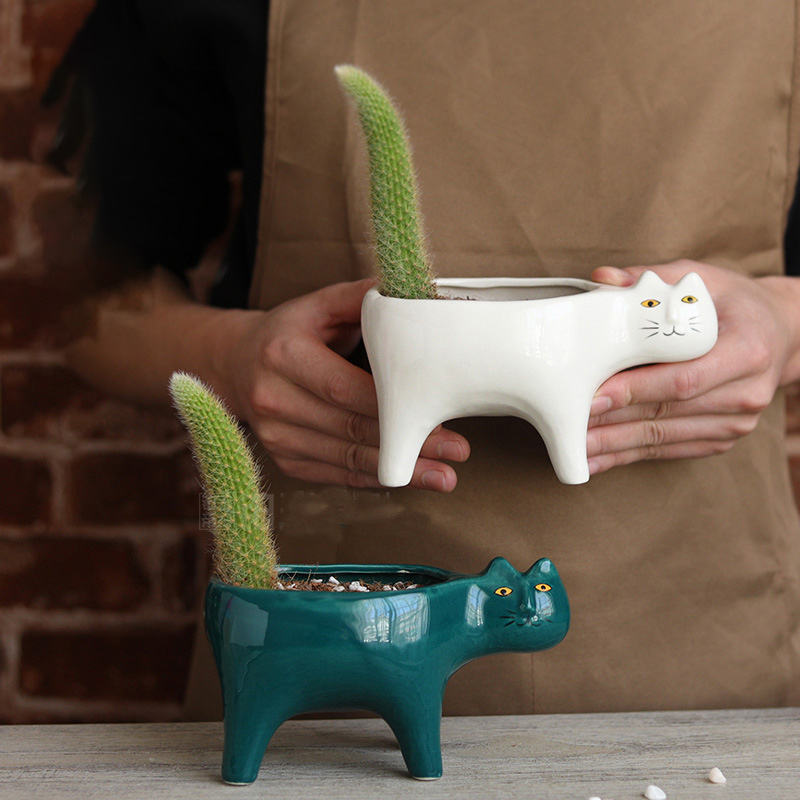 Cute Cat Ceramic Garden Flower - огляд і ціна Snake Plant Ceramic