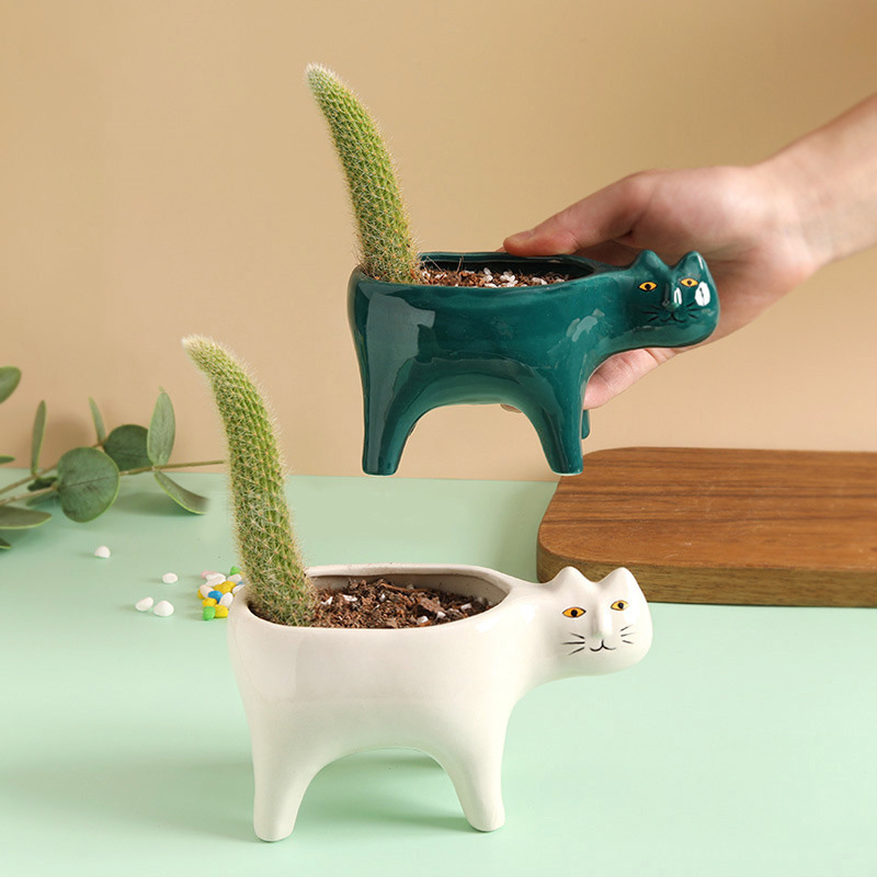 Cute Cat Ceramic Garden Flower - огляд і ціна Snake Plant Ceramic