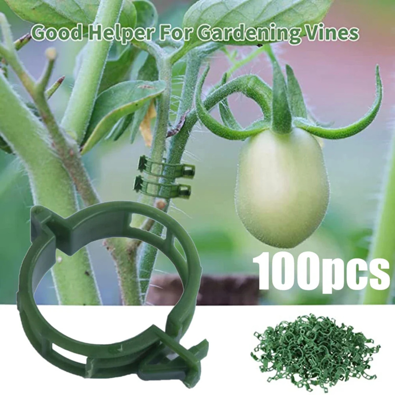 100 PCS/ Plant Support Clip Pl - огляд і ціна Plant Parent Tools