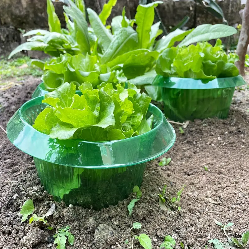 Plants Slug Protection Rings V - огляд і ціна Plant Parent Tools