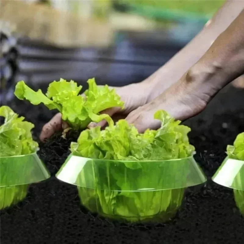 Plants Slug Protection Rings V - огляд і ціна Plant Parent Tools