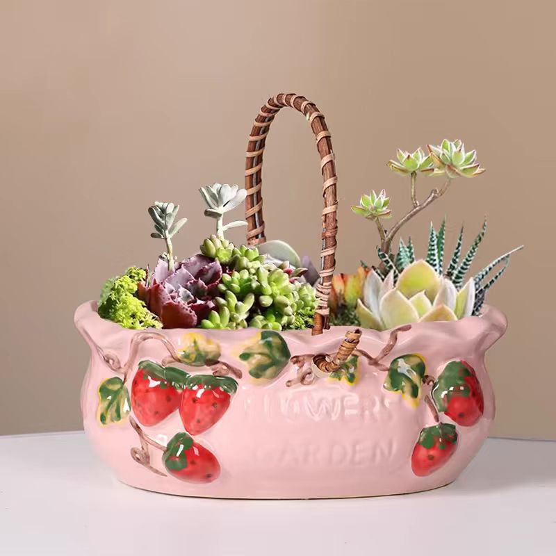 1Pcs Creative Ceramic Planter  - огляд і ціна Snake Plant Ceramic