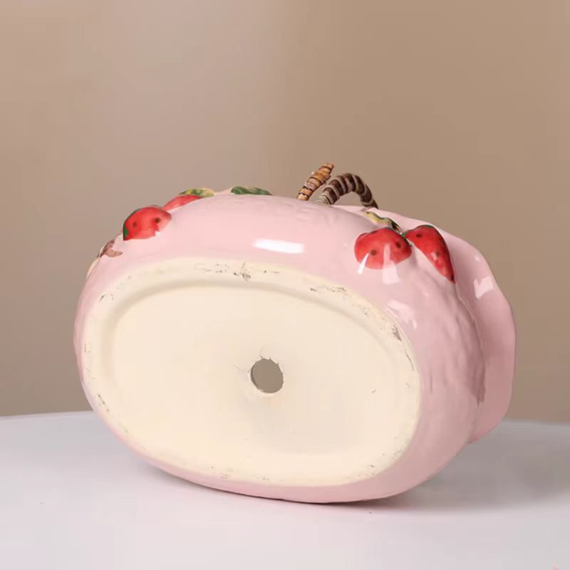1Pcs Creative Ceramic Planter  - огляд і ціна Snake Plant Ceramic