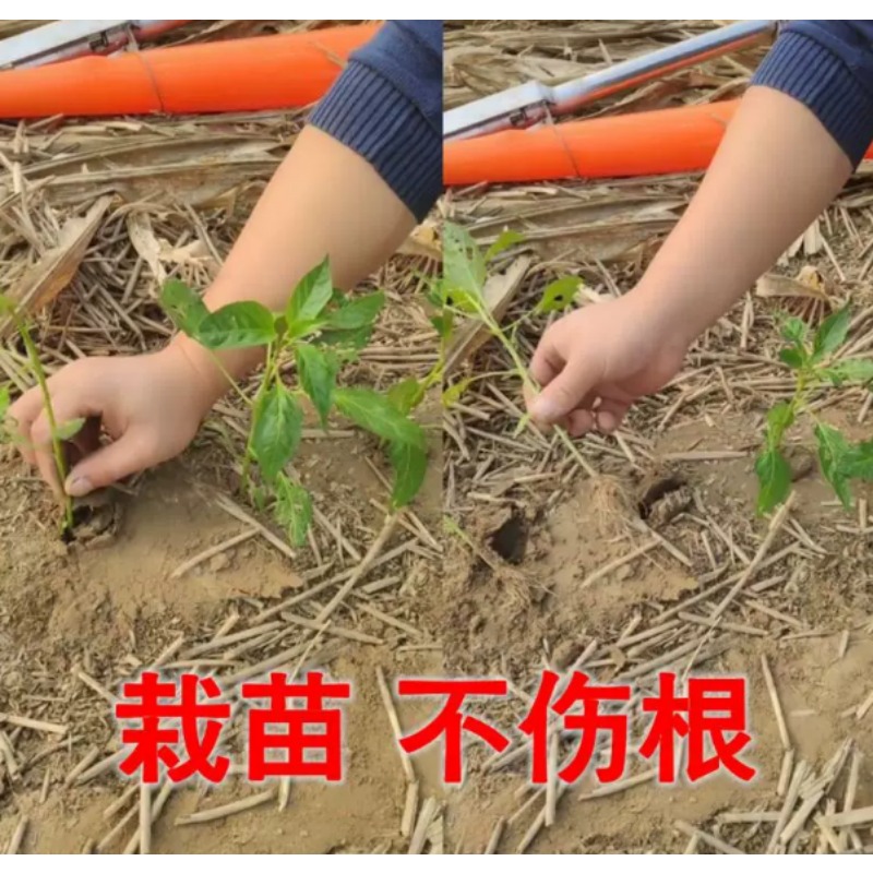 Agricultural Seedling Transpla - огляд і ціна Plant Parent Tools